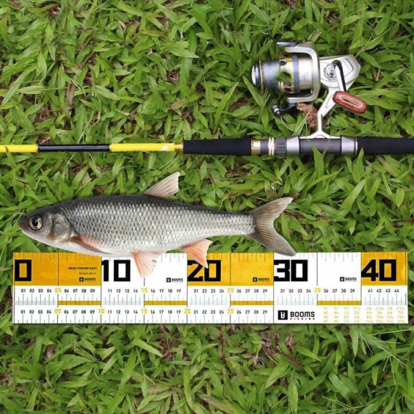 Fishing Gear |   2pcs 65cm Lure Boat Fish Ruler Measuring Sticker Fishing Tool Tackle Accessories