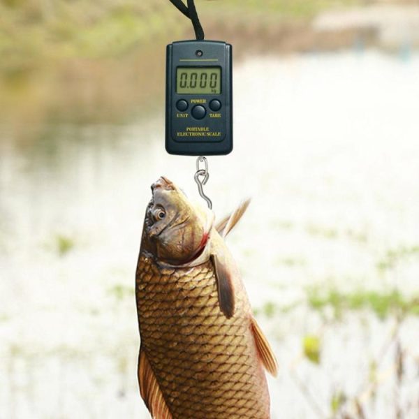 Fishing Gear |   40kg/10g Portable Mini Digital Fishing Scales w/ Hanging Hook Luggage Scale