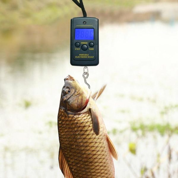 Fishing Gear |   40kg/10g Portable Mini Digital Fishing Scales w/ Hanging Hook Luggage Scale