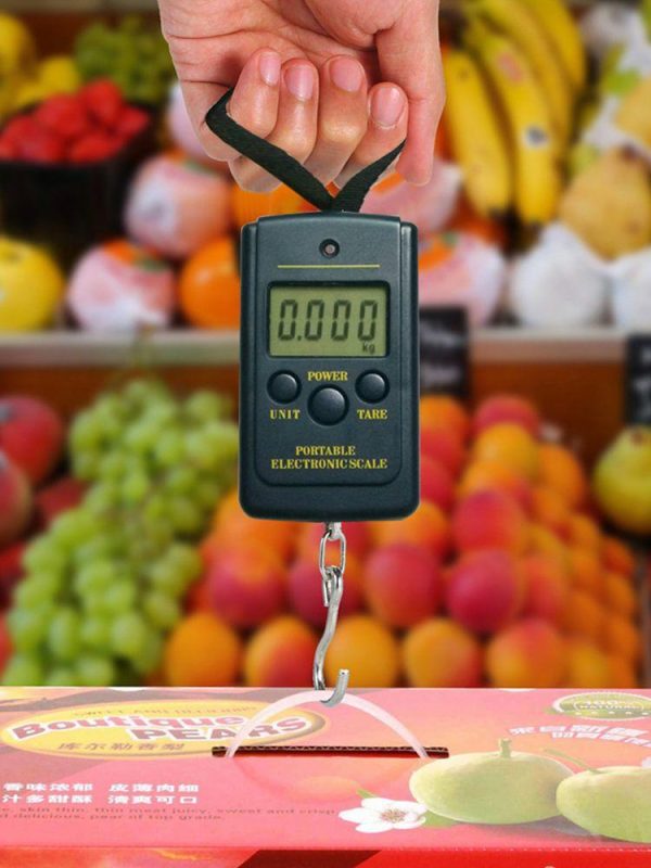 Fishing Gear |   40kg/10g Portable Mini Digital Fishing Scales w/ Hanging Hook Luggage Scale