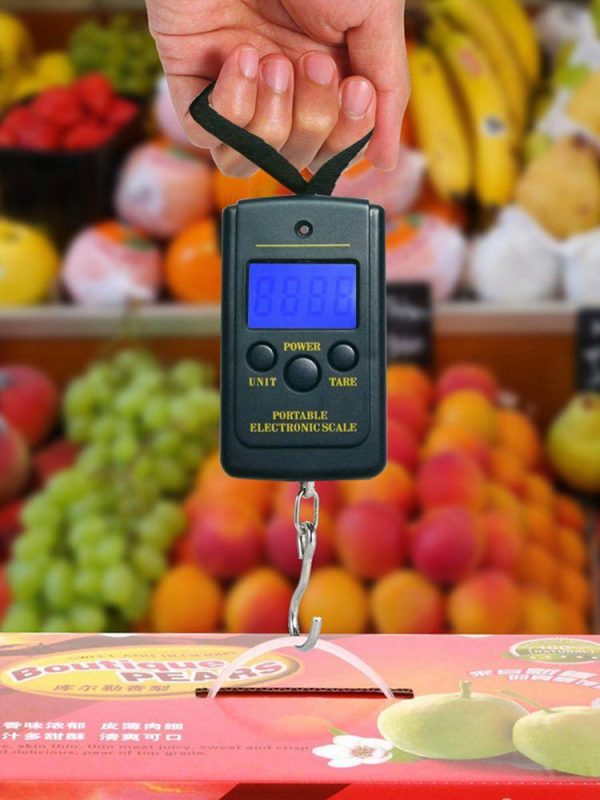 Fishing Gear |   40kg/10g Portable Mini Digital Fishing Scales w/ Hanging Hook Luggage Scale