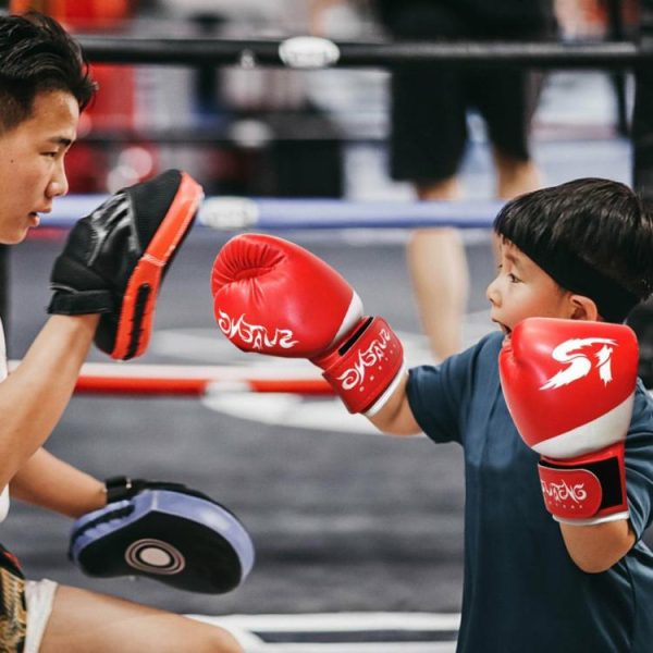 Boxing |   1 Pair Sports Protection PU Leather Kids Boxing Gloves Sanda Training Equipment